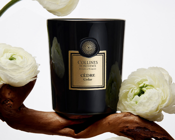 Bougie Mandarine Yuzu